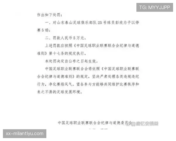 纪律委员会如何判定球员追加处罚？规则拆解