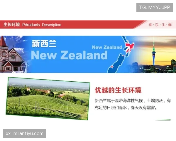 新西兰G组积分预测分析